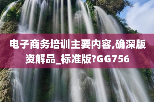 电子商务培训主要内容,确深版资解品_标准版?GG756