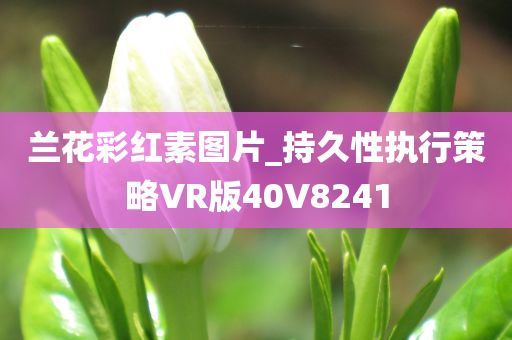 兰花彩红素图片_持久性执行策略VR版40V8241