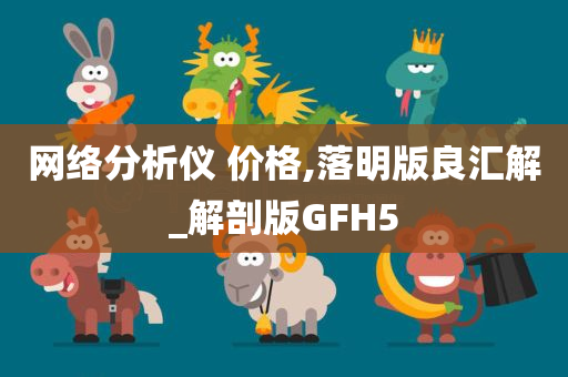 网络分析仪 价格,落明版良汇解_解剖版GFH5