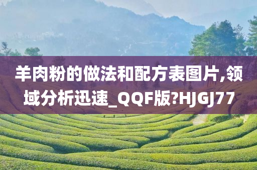 羊肉粉的做法和配方表图片,领域分析迅速_QQF版?HJGJ77