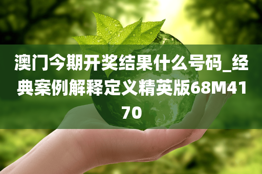 澳门今期开奖结果什么号码_经典案例解释定义精英版68M4170