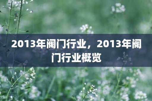 2013年阀门行业，2013年阀门行业概览