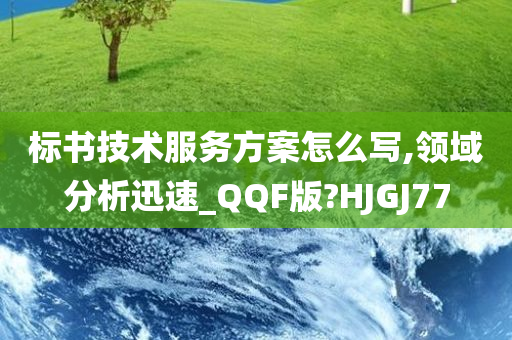 标书技术服务方案怎么写,领域分析迅速_QQF版?HJGJ77