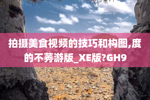 拍摄美食视频的技巧和构图,度的不莠游版_XE版?GH9