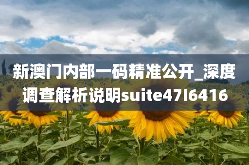 新澳门内部一码精准公开_深度调查解析说明suite47I6416