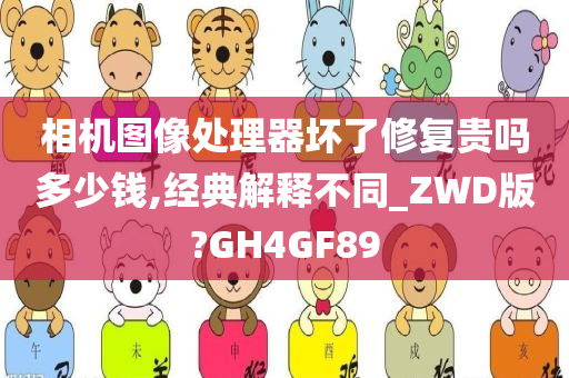 相机图像处理器坏了修复贵吗多少钱,经典解释不同_ZWD版?GH4GF89