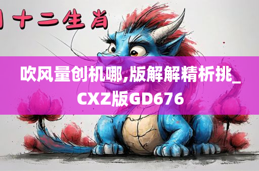 吹风量创机哪,版解解精析挑_CXZ版GD676