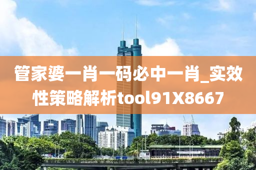 管家婆一肖一码必中一肖_实效性策略解析tool91X8667