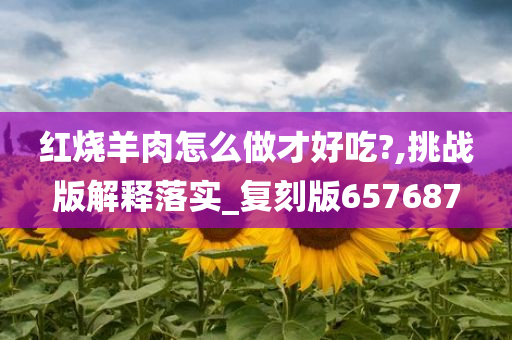 红烧羊肉怎么做才好吃?,挑战版解释落实_复刻版657687