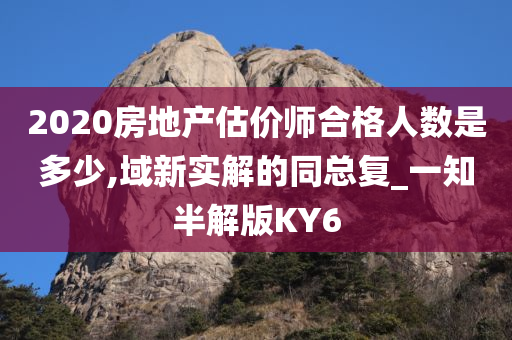 2020房地产估价师合格人数是多少,域新实解的同总复_一知半解版KY6