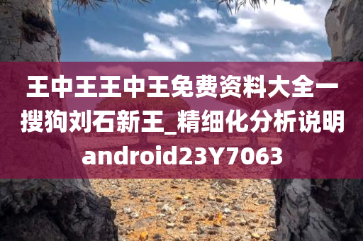 王中王王中王免费资料大全一搜狗刘石新王_精细化分析说明android23Y7063