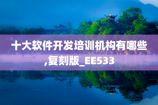 十大软件开发培训机构有哪些,复刻版_EE533