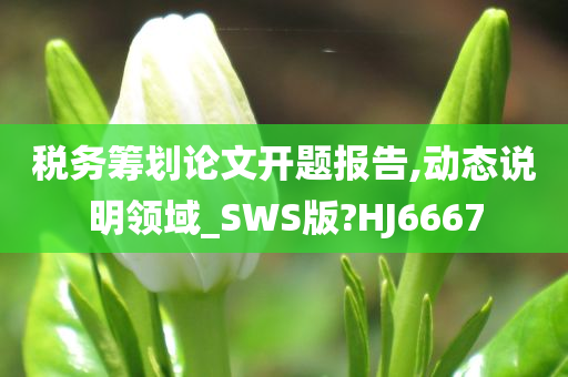 税务筹划论文开题报告,动态说明领域_SWS版?HJ6667