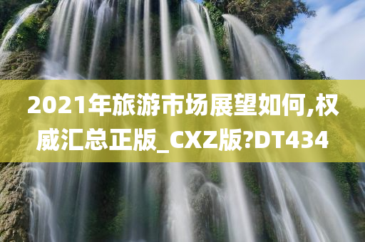 2021年旅游市场展望如何,权威汇总正版_CXZ版?DT434