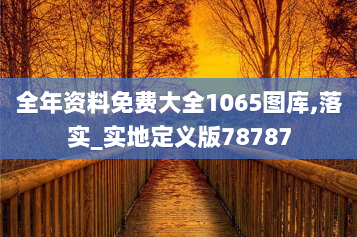 全年资料免费大全1065图库,落实_实地定义版78787