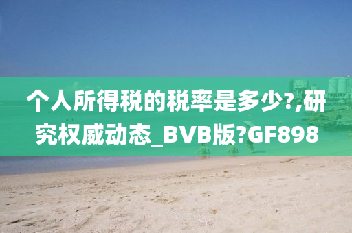 个人所得税的税率是多少?,研究权威动态_BVB版?GF898