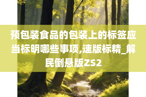 预包装食品的包装上的标签应当标明哪些事项,速版标精_解民倒悬版ZS2