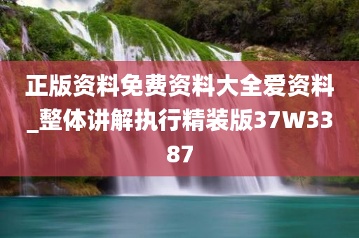 正版资料免费资料大全爱资料_整体讲解执行精装版37W3387