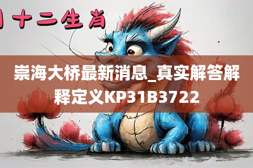 崇海大桥最新消息_真实解答解释定义KP31B3722