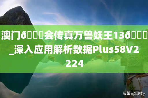 澳门??会传真万兽妖王13??_深入应用解析数据Plus58V2224