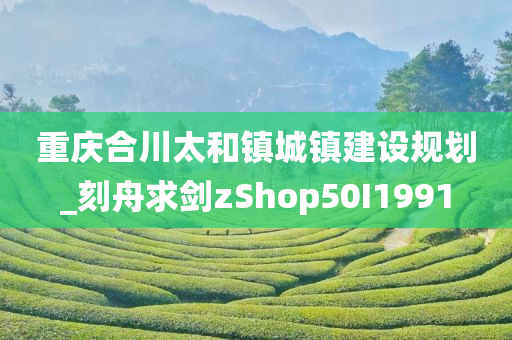 重庆合川太和镇城镇建设规划_刻舟求剑zShop50I1991