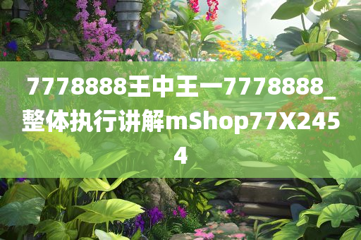 7778888王中王一7778888_整体执行讲解mShop77X2454