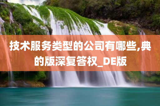 技术服务类型的公司有哪些,典的版深复答权_DE版