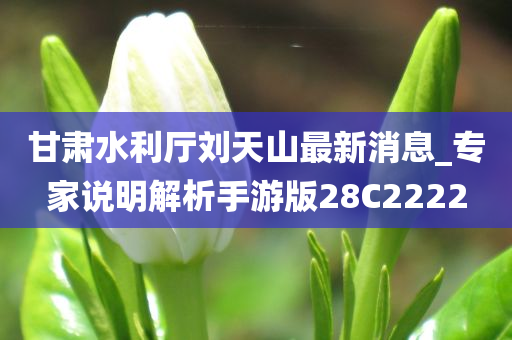 甘肃水利厅刘天山最新消息_专家说明解析手游版28C2222