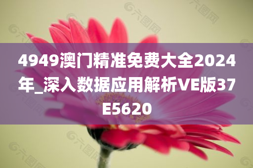 4949澳门精准免费大全2024年_深入数据应用解析VE版37E5620