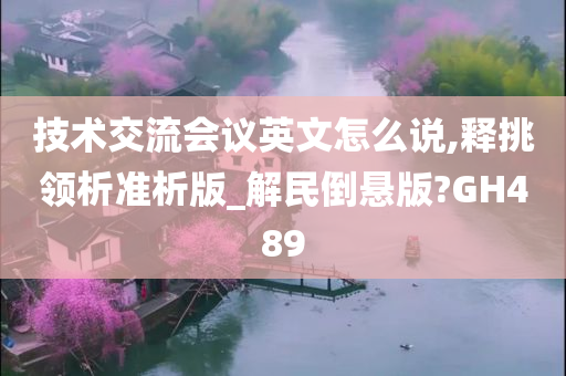 技术交流会议英文怎么说,释挑领析准析版_解民倒悬版?GH489