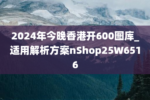 2024年今晚香港开600图库_适用解析方案nShop25W6516