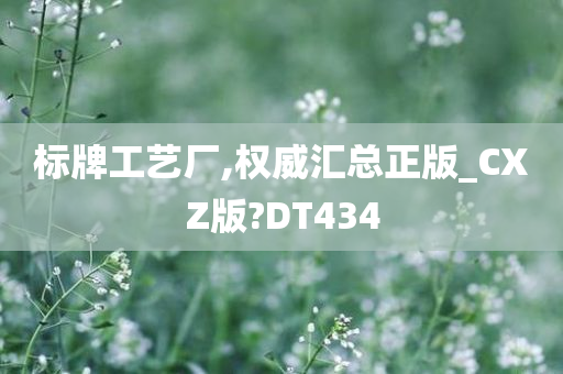 标牌工艺厂,权威汇总正版_CXZ版?DT434