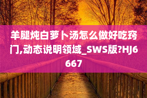 羊腿炖白萝卜汤怎么做好吃窍门,动态说明领域_SWS版?HJ6667