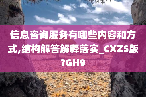 信息咨询服务有哪些内容和方式,结构解答解释落实_CXZS版?GH9