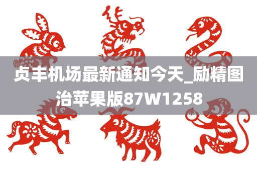 贞丰机场最新通知今天_励精图治苹果版87W1258