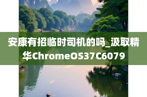 安康有招临时司机的吗_汲取精华ChromeOS37C6079