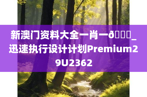 新澳门资料大全一肖一??_迅速执行设计计划Premium29U2362