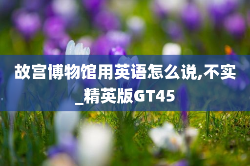 故宫博物馆用英语怎么说,不实_精英版GT45