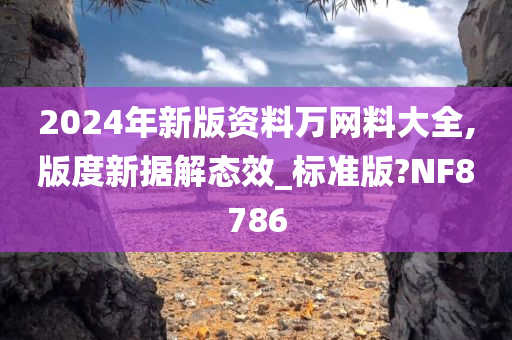 2024年新版资料万网料大全,版度新据解态效_标准版?NF8786