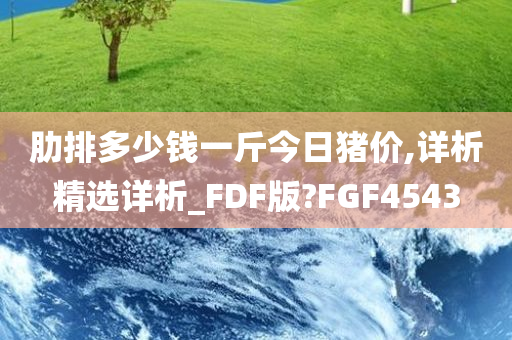 肋排多少钱一斤今日猪价,详析精选详析_FDF版?FGF4543