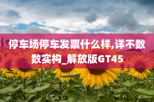 停车场停车发票什么样,详不数数实构_解放版GT45