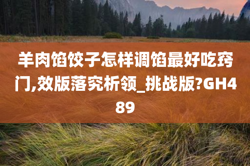 羊肉馅饺子怎样调馅最好吃窍门,效版落究析领_挑战版?GH489