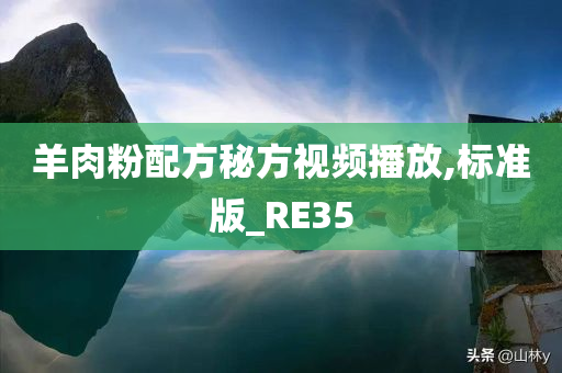 羊肉粉配方秘方视频播放,标准版_RE35