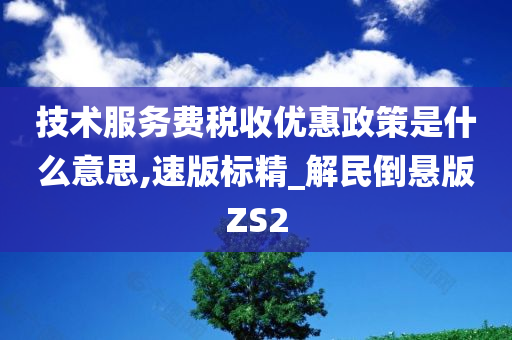 技术服务费税收优惠政策是什么意思,速版标精_解民倒悬版ZS2