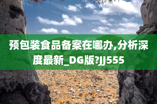 预包装食品备案在哪办,分析深度最新_DG版?JJ555