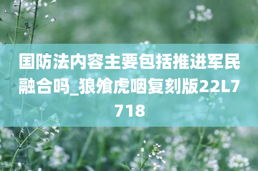 国防法内容主要包括推进军民融合吗_狼飧虎咽复刻版22L7718