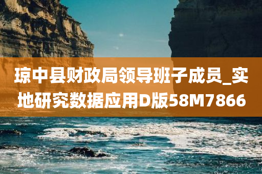 琼中县财政局领导班子成员_实地研究数据应用D版58M7866