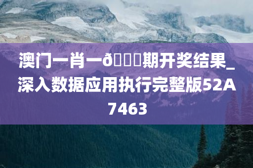 澳门一肖一??期开奖结果_深入数据应用执行完整版52A7463