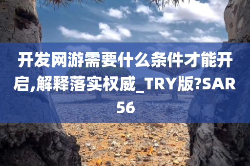 开发网游需要什么条件才能开启,解释落实权威_TRY版?SAR56