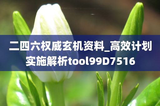 二四六权威玄机资料_高效计划实施解析tool99D7516